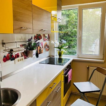 City Center Apartment Timisoara Bagian luar foto
