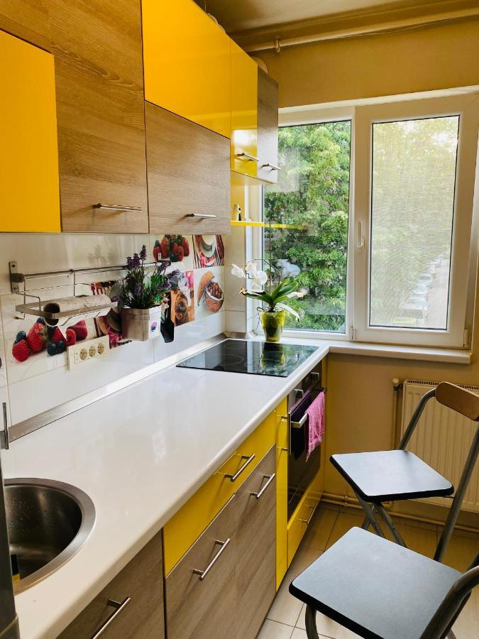 City Center Apartment Timisoara Bagian luar foto
