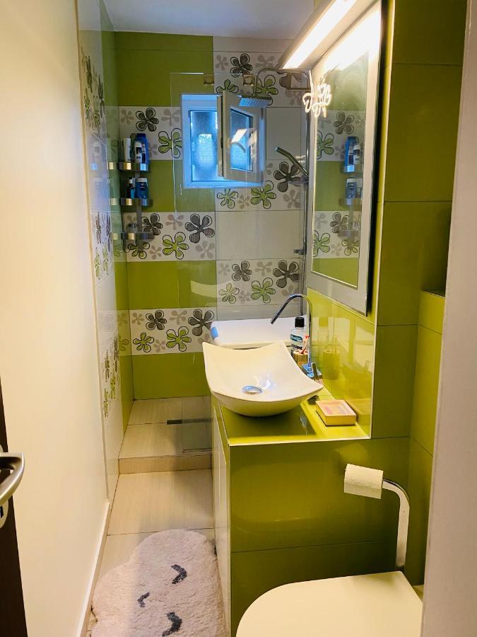 City Center Apartment Timisoara Bagian luar foto