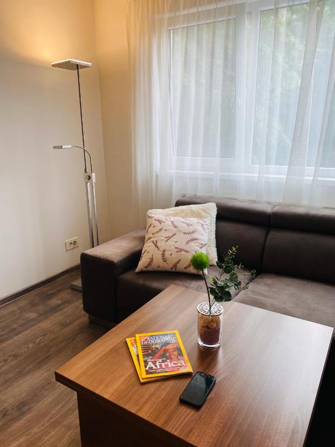 City Center Apartment Timisoara Bagian luar foto