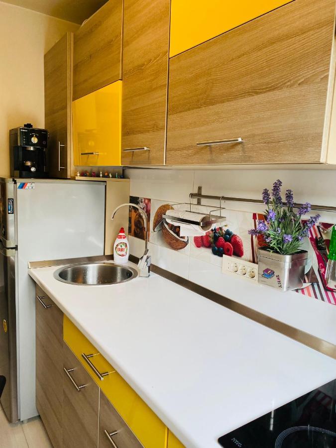City Center Apartment Timisoara Bagian luar foto